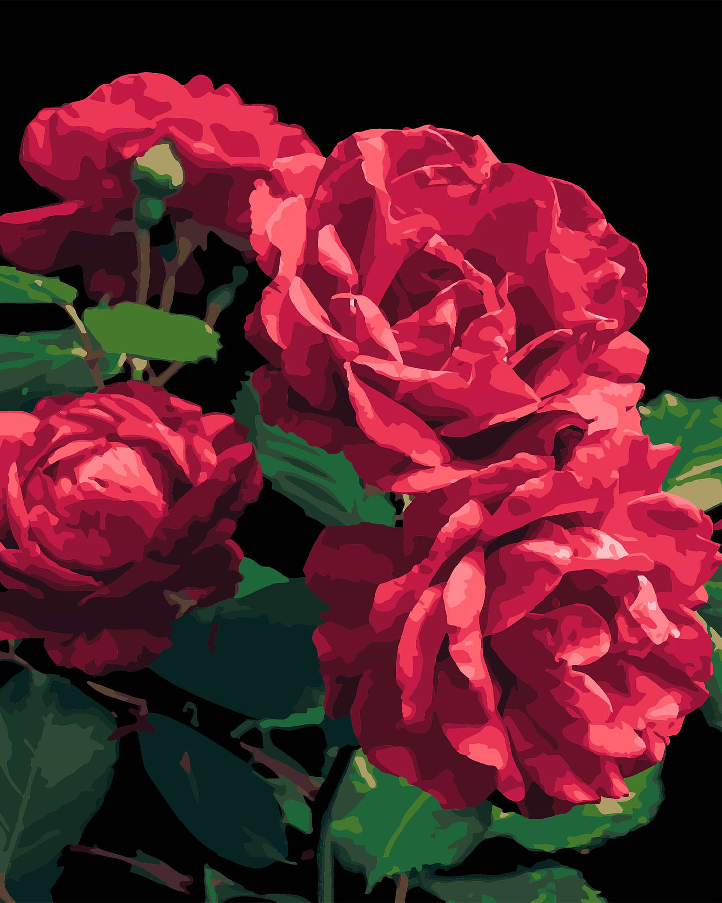 Картина за номерами Strateg Троянди на чорному фоні 40х50 см (AH1187-18)