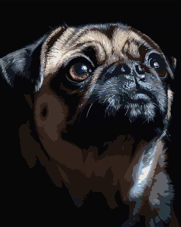 Фото - Картина за номерами Strateg Портрет мопса 40х50 (AH1290) Фото - Картина за номерами Strateg Портрет мопса 40х50 (AH1290)