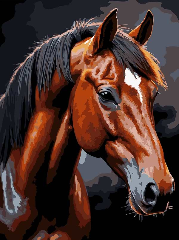 Фото - Картина за номерами Strateg Коричневий кінь на чорному фоні 30х40 (FH-39)