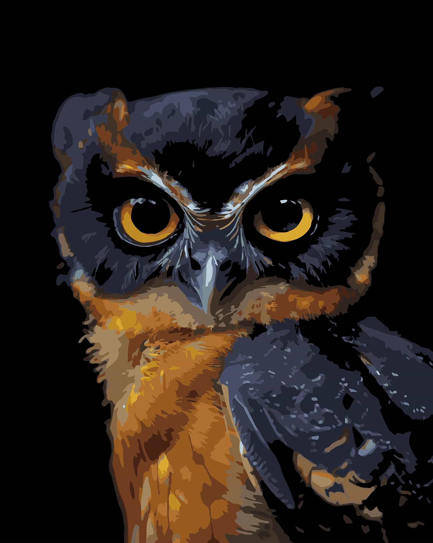 Картина за номерами Strateg Погляд ночі на чорному фоні 40х50 (AH1269)