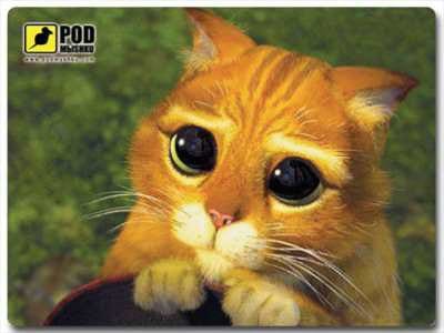 Фото - Килимок для миші PODMЫSHKU Котик из м-фа Шрек