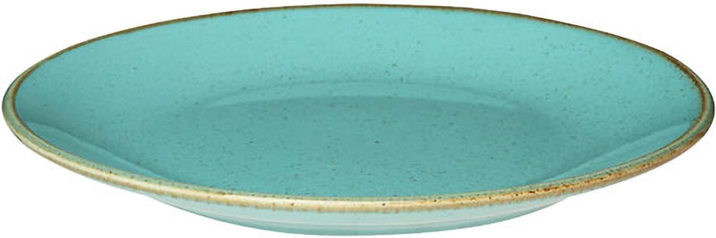 Тарелка обеденная PORLAND SEASONS 24 см бирюзовый (04ALM001653)