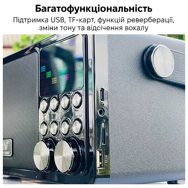 Фото - Портативна акустика INSPIRE YS-311-Black караоке