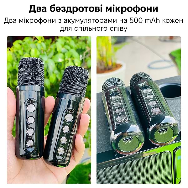 Фото - Портативна акустика INSPIRE YS-311-Black караоке