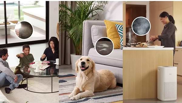 Фото - Фільтр для очищувача повітря Levoit VeSync Core 600S (Original Filter - LRF-C601-WEU) (HEACAFLVNEU0063)