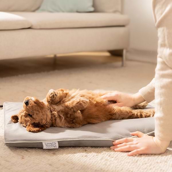 Фото - Килимок з підігрівом для тварин Beurer Lilli PP 210