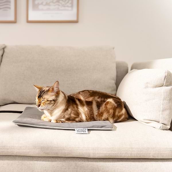 Фото - Килимок з підігрівом для тварин Beurer Lilli PP 210