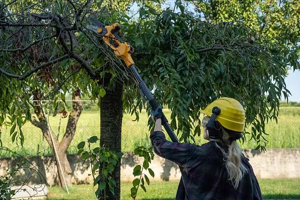 Фото - Ланцюгова пила Stiga PR100eKit