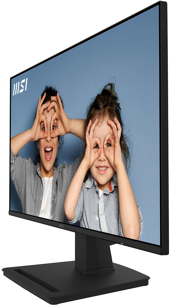 Фото - Монітор  MSI PRO MP252