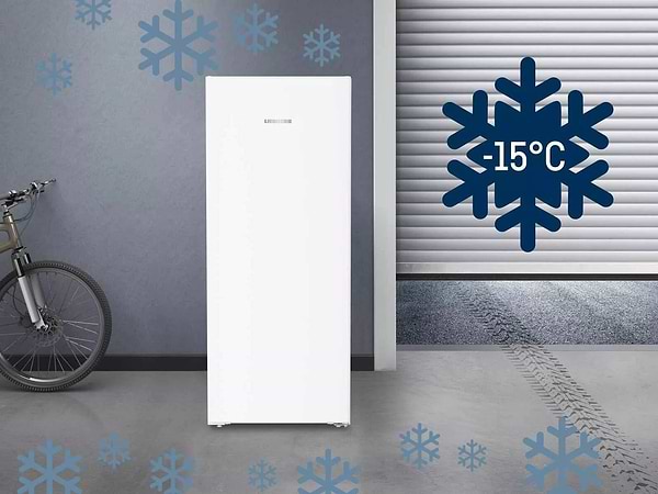 Фото - Морозильная камера Liebherr FNe 4605