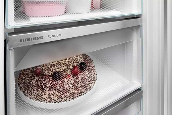 Фото - Морозильная камера Liebherr FNe 4605