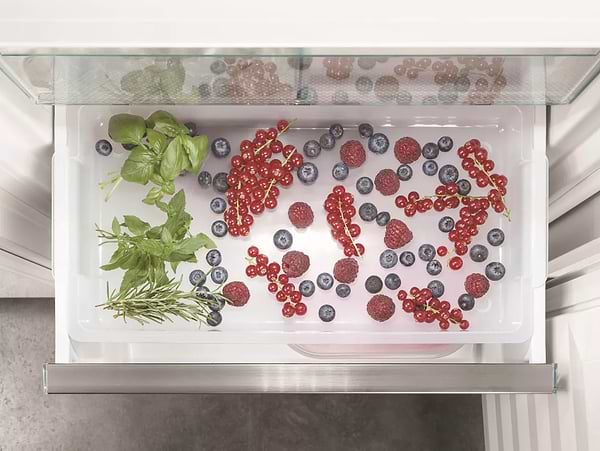 Фото - Холодильник вбудований Liebherr ICBNcx 5173 BS0