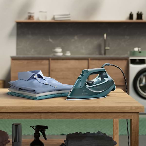 Фото - Утюг Electrolux E6SI1-6PG