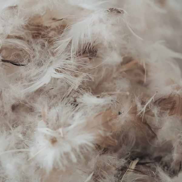 Фото - Ковдра зимова полуторна MirSon Пух Екстра 042 140x205 см (2200000002921)