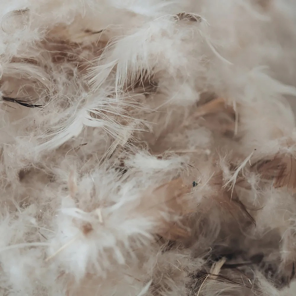 Фото - Подушка стандартная MirSon №2767 Extra 70х70 см (2200005194089)