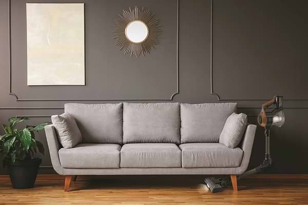 Фото - Пылесос ручной для дома Zelmer ZSVC512DF PET Piotr