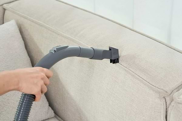 Фото - Пылесос для сухой уборки без мешка Zelmer ZVC031P