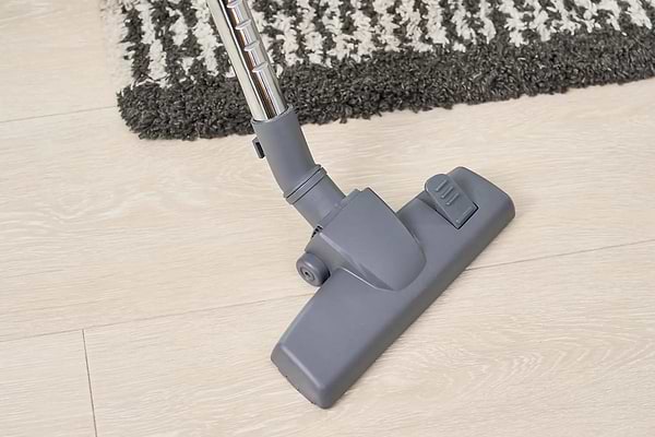 Фото - Пылесос для сухой уборки без мешка Zelmer ZVC031P