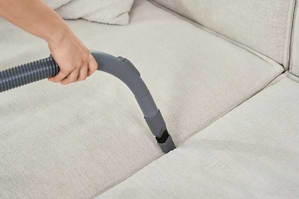 Фото - Пылесос для сухой уборки без мешка Zelmer ZVC031P