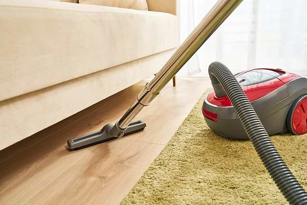 Фото - Пылесос для сухой уборки с мешком Zelmer ZVC261