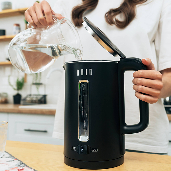 Фото - Электрический чайник QUIN KTL-202 Black