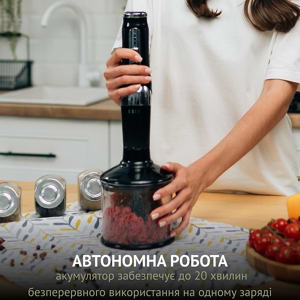 Фото - Блендер заглибний QUIN RHB-301