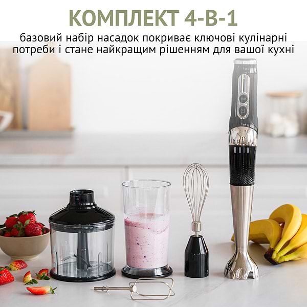 Фото - Блендер заглибний QUIN RHB-301