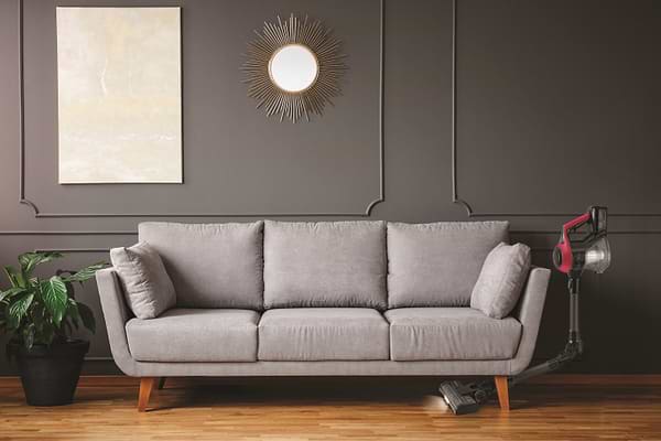 Фото - Пилосос ручний для дому Zelmer ZSVC511