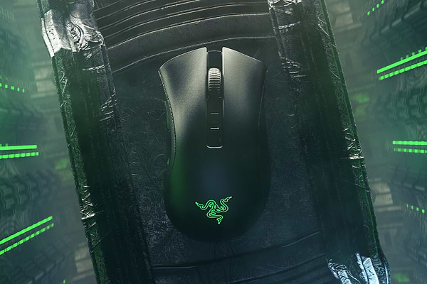 Фото - Мышь беспроводная игровая Razer DeathAdder V2 Pro Wireless (RZ01-03350100-R3G1)