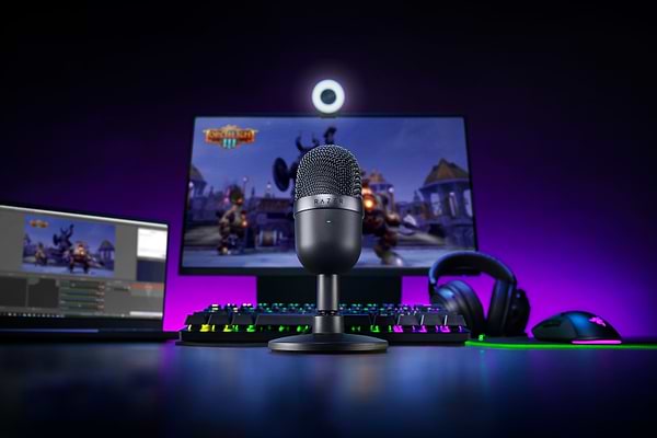 Фото - Микрофон для компьютера проводной Razer Seiren mini  (RZ19-03450100-R3M1)