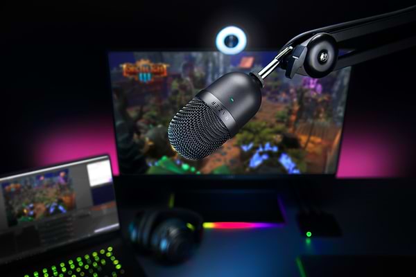 Фото - Микрофон для компьютера проводной Razer Seiren mini  (RZ19-03450100-R3M1)