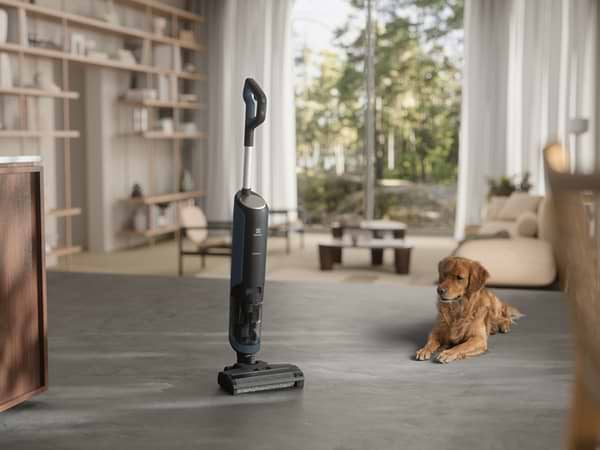 Фото - Пилосос ручний миючий Electrolux EW81U3DB