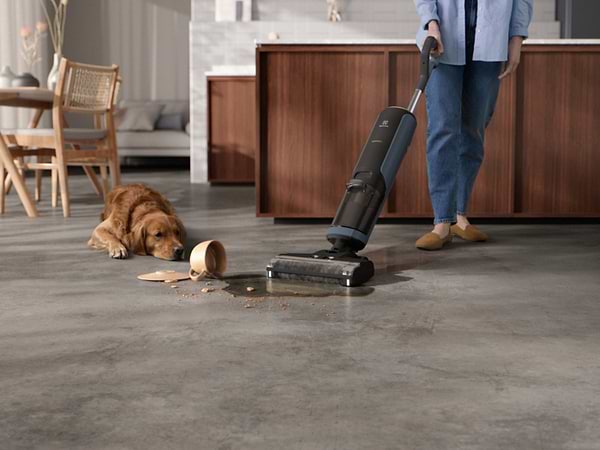 Фото - Пилосос ручний миючий Electrolux EW81U3DB