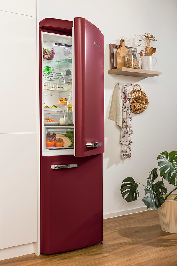 Фото - Холодильник Gorenje ONRK 619 DR