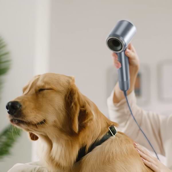 Фото - Фен Laifen Swift Special блакитний (LF03-SIG-EU)