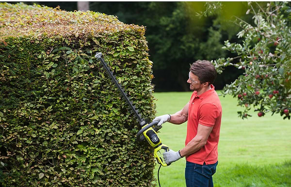 Фото - Кусторез Ryobi RHT6160RS