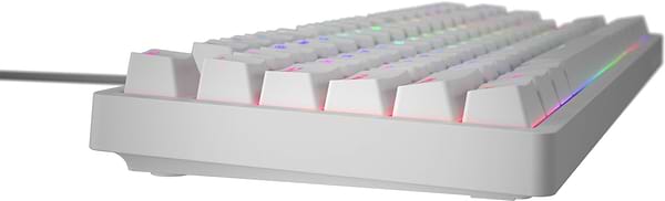 Фото - Клавиатура проводная игровая Hator Rockfall 2 Mecha TKL Orange USB White (HTK-521)