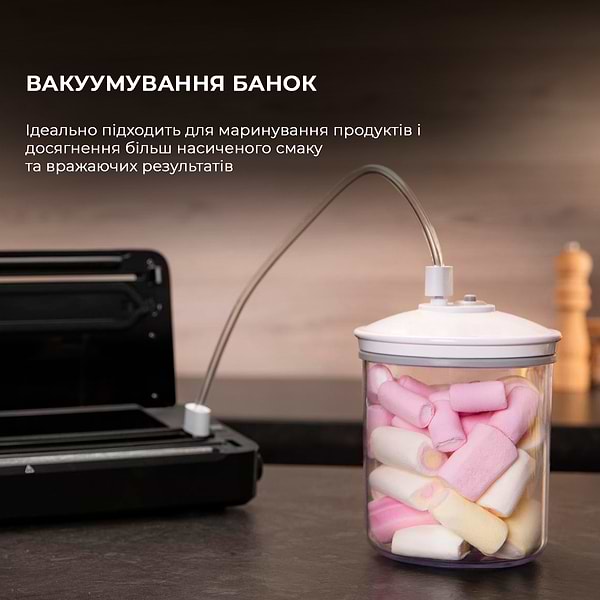 Фото - Вакууматор Cecotec SealVac 140 SteelCut (CCTC-04258)