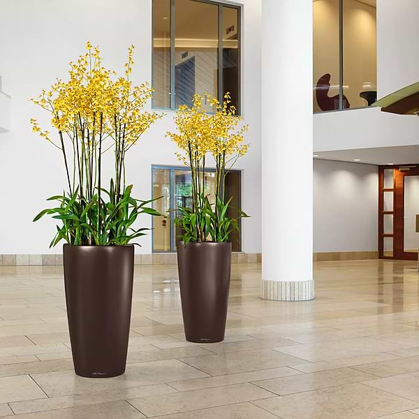 Фото - Вазон Lechuza Рондо Преміум 40 Антрацит (15743)