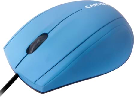 Фото - Мышь проводная Canyon CNE-CMS05BX Light Blue
