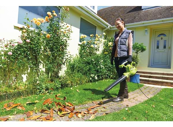 Фото - Садовый пылесос Ryobi RBV3000CSV (5133002188)