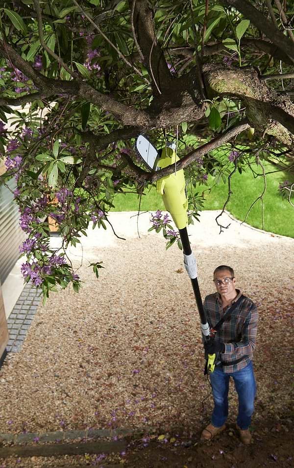 Фото - Висоторіз Ryobi RP750450