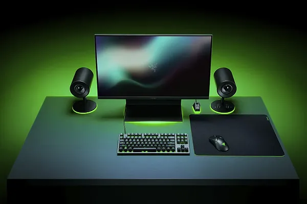 Фото - Килимок для миші ігровий Razer Gigantus V2 Large (RZ02-03330300-R3M1)