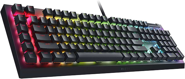 Фото - Клавіатура дротова ігрова Razer BlackWidow V4 X (RZ03-04702500-R3R1)