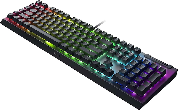 Фото - Клавіатура дротова ігрова Razer BlackWidow V4 X (RZ03-04702500-R3R1)