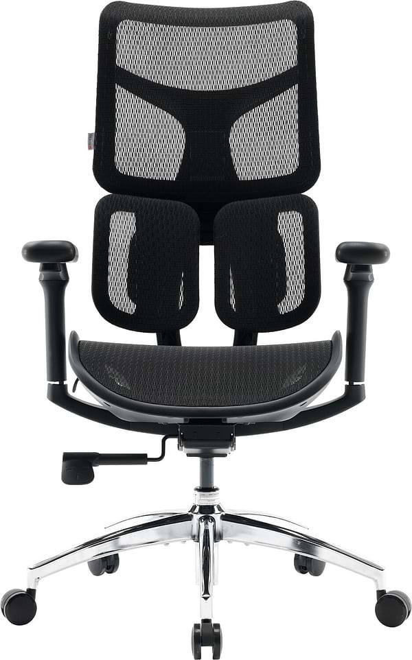 Фото - Кресло офисное Sihoo DORO S100 Mesh Black (S100-M301)