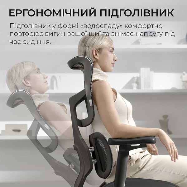 Фото - Кресло офисное Sihoo DORO S100 Mesh Black (S100-M301)