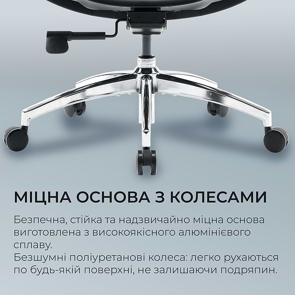 Фото - Кресло офисное Sihoo DORO S100 Mesh Black (S100-M301)