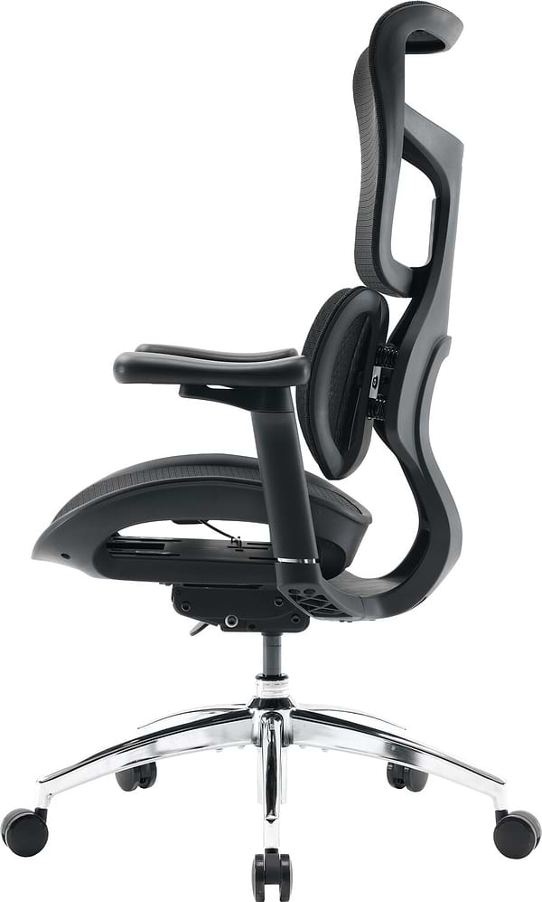 Фото - Кресло офисное Sihoo DORO S100 Mesh Black (S100-M301)