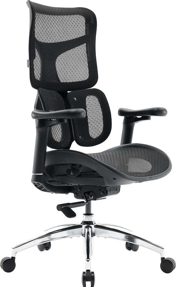 Фото - Кресло офисное Sihoo DORO S100 Mesh Black (S100-M301)